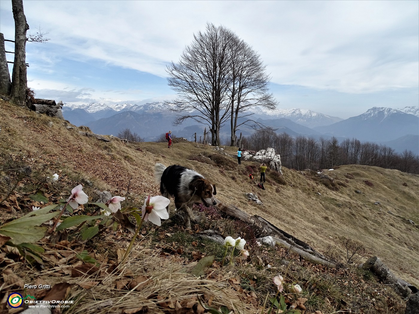 51 Sui pascoli della Baita Alta di Sornadello.JPG